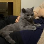 Testimonial-2-circle-a6d822e7931114d0c2403b684c401dbf-5xnrc7im0zyk