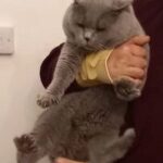 Testimonial-3-circle-8ee488ad32a3657d8343289b746ad418-goib873qxuev