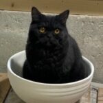 Testimonial-8-268x300-circle-6b24d089d67beea33fc2a6ea2ca43520-50egmb4a91pc