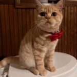 Testimonial-9-300x284-circle-c3d73ba61426e7084f0dd4529e8bbb58-zgrw852uxfa6